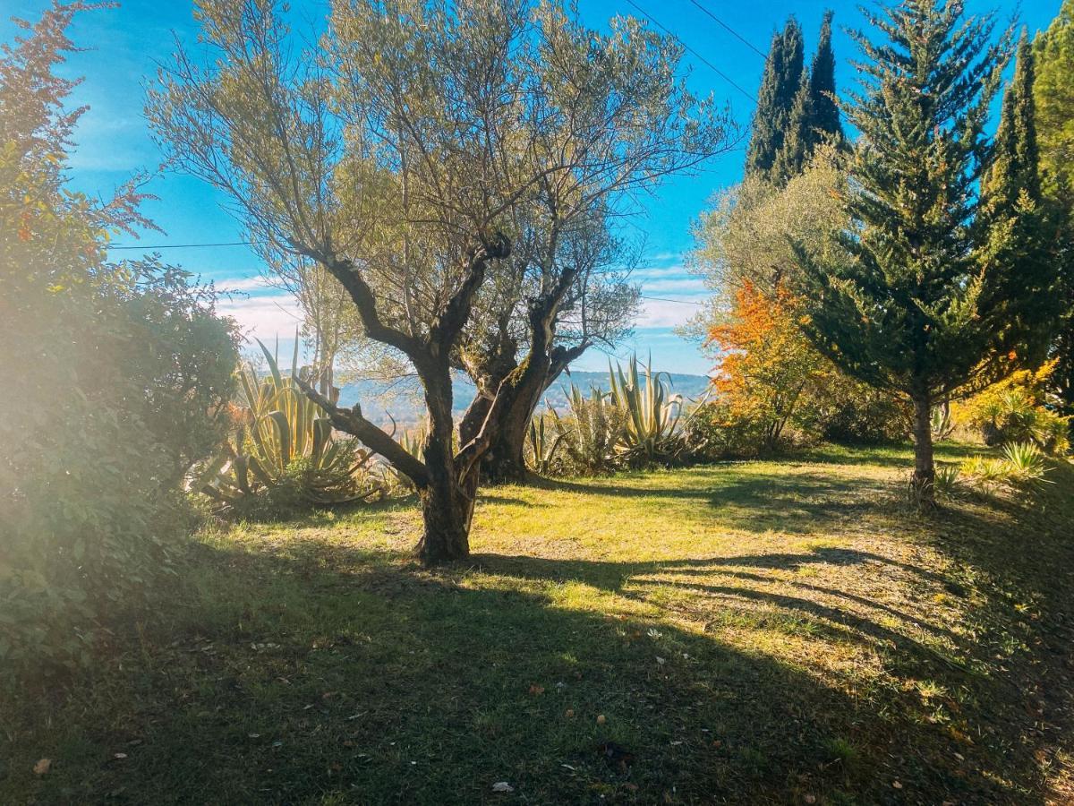 Les Lodges De Saint Cassien 2 Montauroux Dış mekan fotoğraf