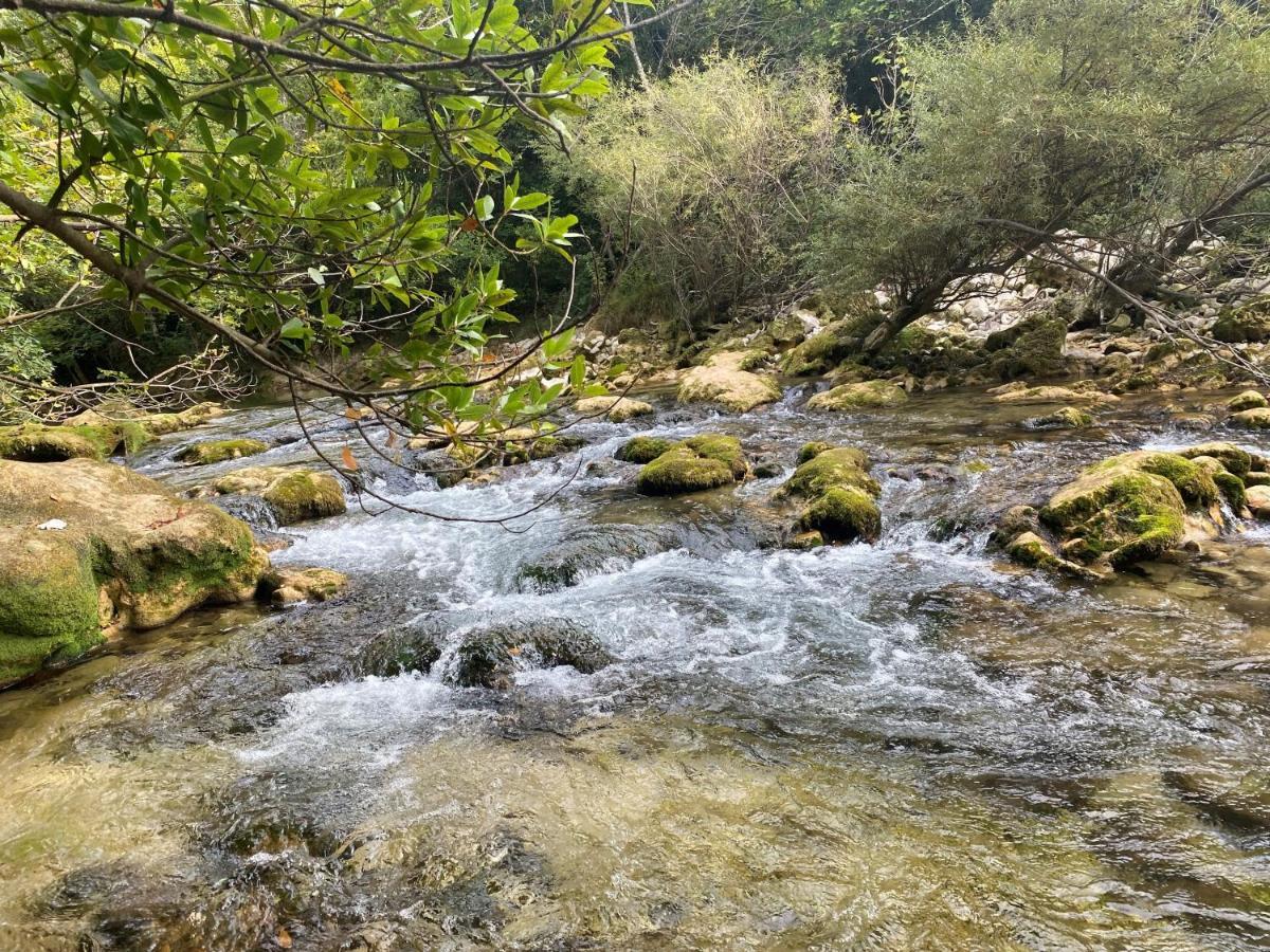Les Lodges De Saint Cassien 2 Montauroux Dış mekan fotoğraf